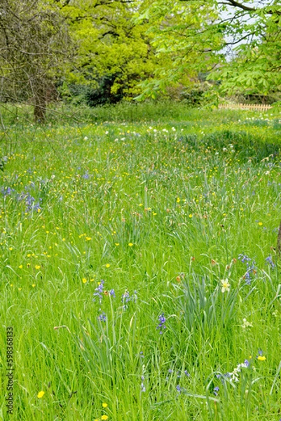 Obraz English spring landscape - British landscape