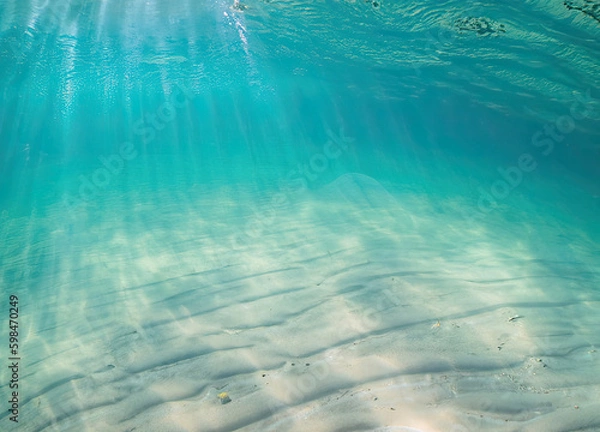 Fototapeta underwater scene with bubbles