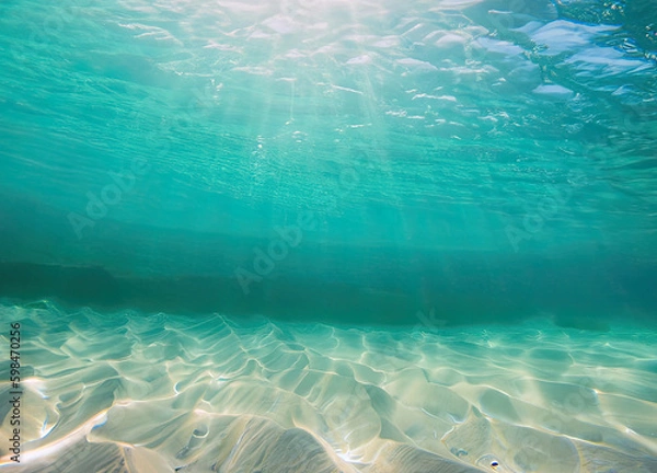 Fototapeta underwater scene with bubbles