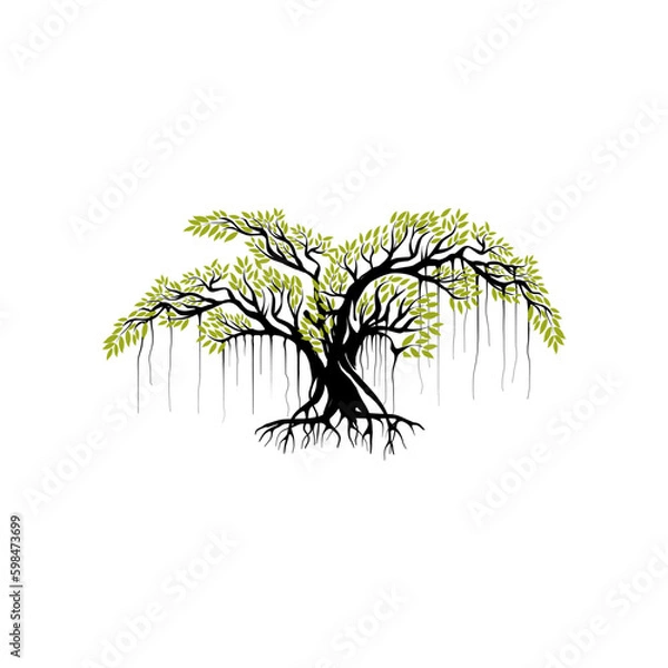 Obraz tree vector illustration. roots of banyan tree. mangrove plant