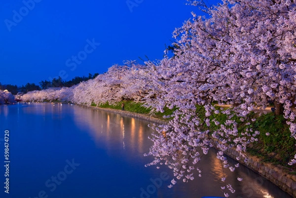 Obraz 弘前城の桜の夜景
