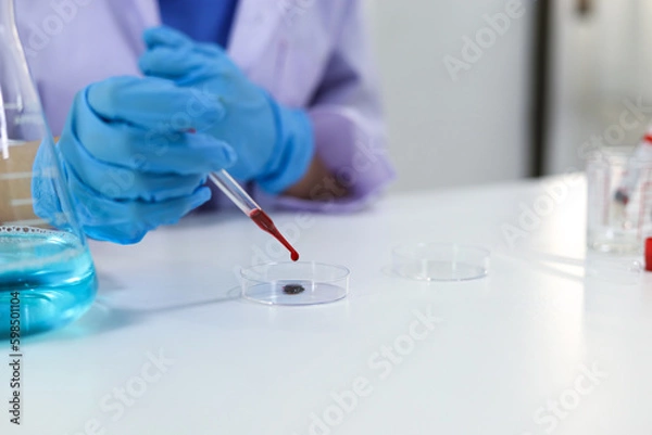 Fototapeta Scientist holding Coronavirus covid-19 infected blood sample tube DNA testing of the blood in the laboratory with blood sample collection tubes and syringe Coronavirus Covid-19 vaccine research.
