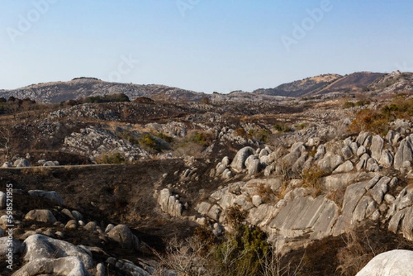 Fototapeta 野焼き直後の平尾台　福岡県北九州市