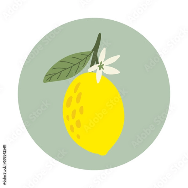 Fototapeta Blossom, lemon. Fruit plant flowers and leaves. Generative AI