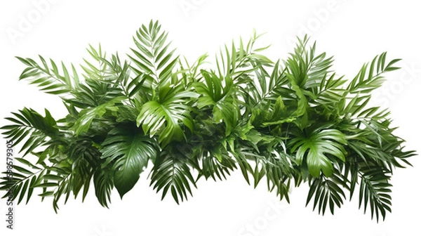 Fototapeta Tropical leaves foliage plant jungle bush floral, PNG