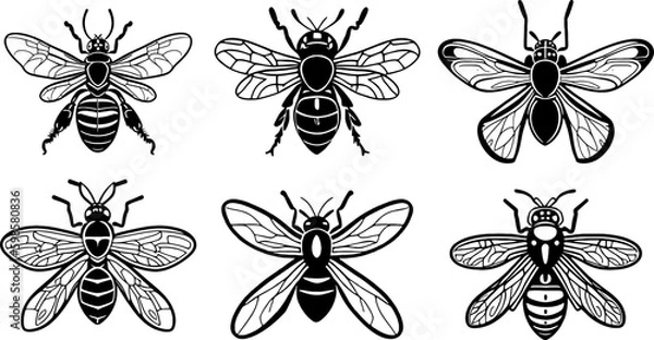 Obraz wasps vector logo set simple design black and white stencil insects