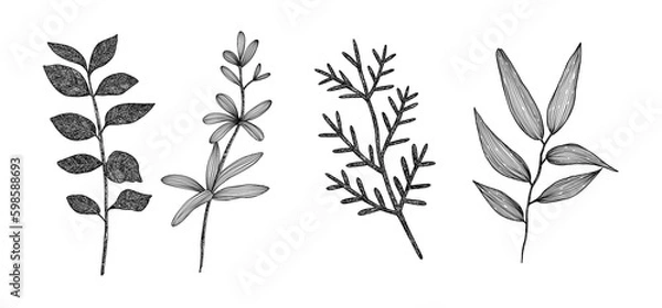 Obraz A set of different twigs. Collection of branches. Hand-drawn. Graphics. Engraving