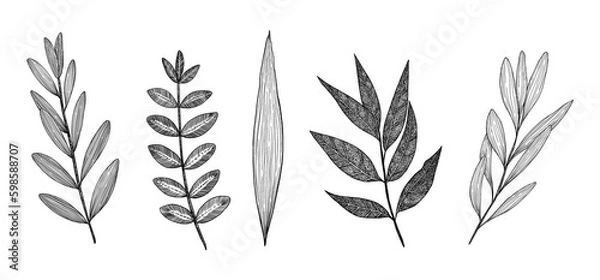 Obraz A set of different twigs. The branches are hand-drawn in vintage style. Graphics. Engraving