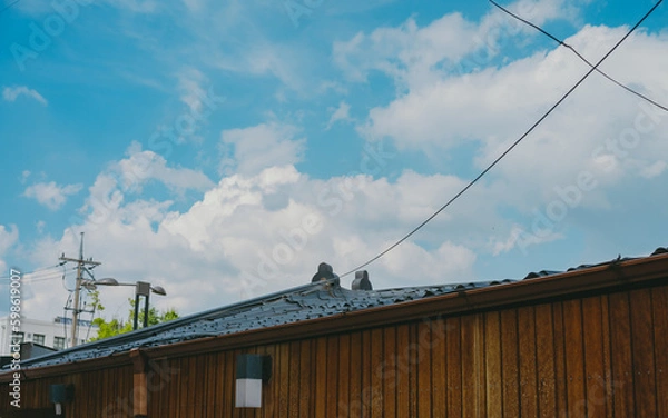 Obraz tile roofed house
