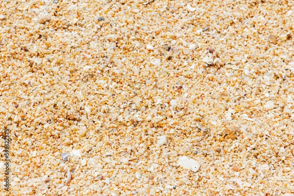 Fototapeta Sand texture. Sandy beach for background. Side view. Natural sand on beach as background
