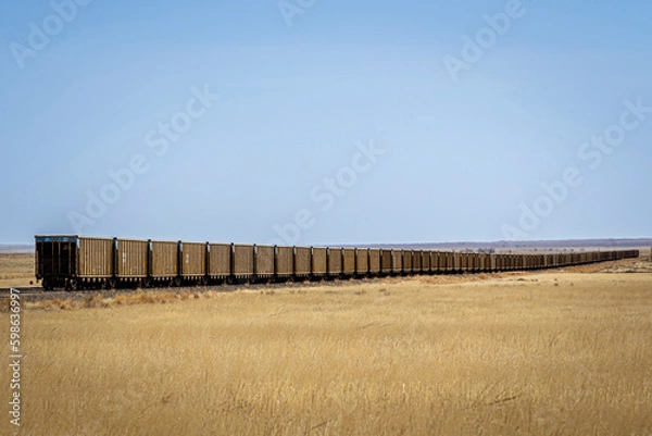 Fototapeta long train in field
