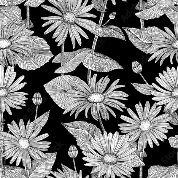 Fototapeta Floral seamless pattern. Background with daisies. Hand-drawn. Graphics. Engraving