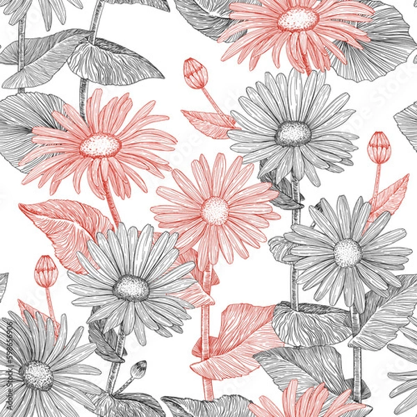 Fototapeta Floral pattern. Seamless background of daisies. Hand-drawn. Graphics. Engraving