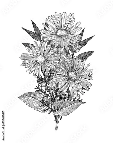 Obraz Bouquet of flowers. Composition of daisies and twigs. Hand-drawn. Graphics. Engraving
