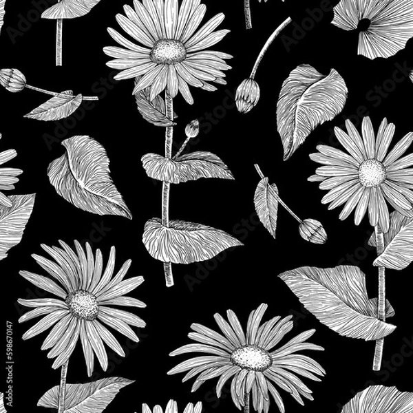 Obraz Floral seamless pattern. Background with daisies. Hand-drawn. Graphics. Engraving