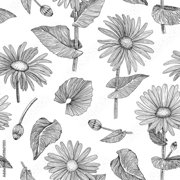 Obraz Floral seamless pattern. Background with daisies. Hand-drawn. Graphics. Engraving