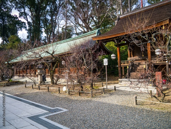 Obraz 京都洛中：北野天満宮