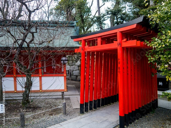 Obraz 京都洛中：北野天満宮