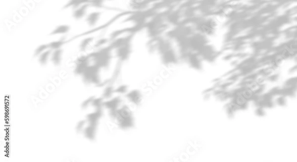 Obraz Ruch realistyczne liście cienia wyściełane słoneczne izolowane na przezroczystym tle 3D rendering png