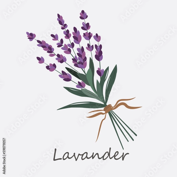 Obraz Bouquet of Lavander on a postcard for congratulations