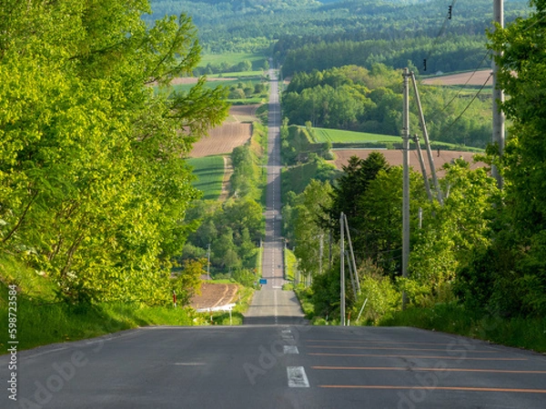 Fototapeta ジェットコースターの路（北海道空知郡上富良野町）