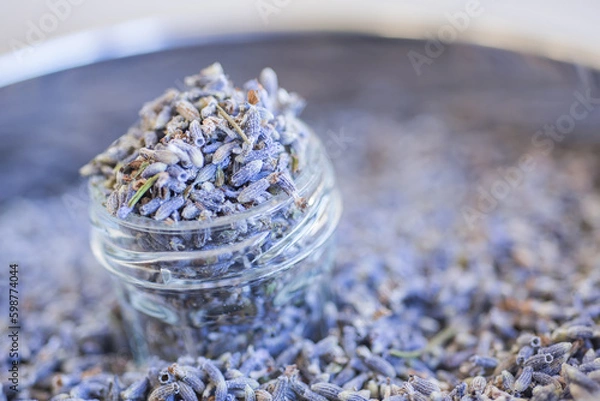 Obraz 優しい香りが漂うラベンダーポプリ