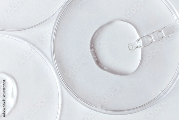 Fototapeta Pipeta z próbką produktu kosmetycznego żelowego w Petriego naczynia na białym tle