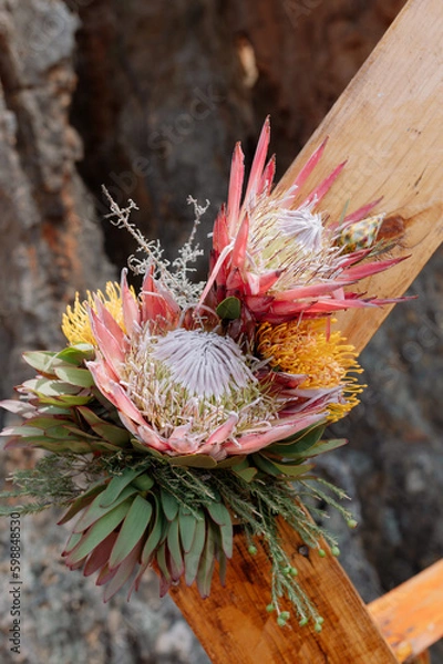 Obraz Proteas Full Bloom