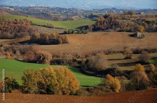 Obraz Colline laziali nella Valle del Tevere