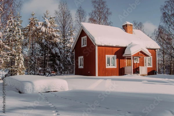 Obraz Red cabin in scandinavian forest