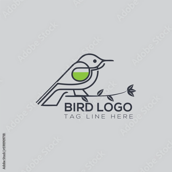 Fototapeta Creative bird logo design with outline shape tree branch.