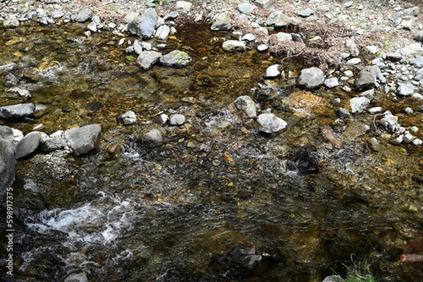 Obraz 渓流の流れ