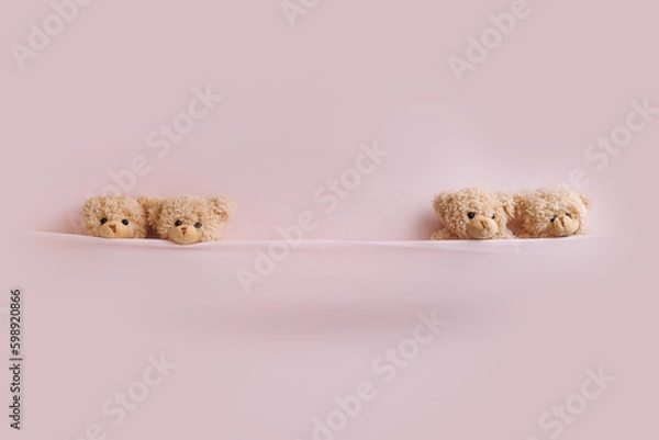 Obraz Newborn digital backdrop with wooden bowl