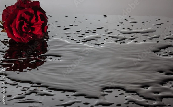 Obraz Water reflection of a red rose on a stone slab