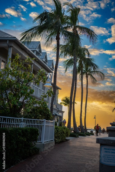 Obraz trees on the beach at sunset