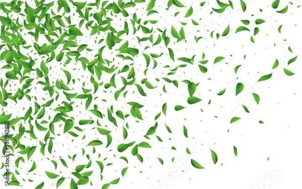 Obraz Swamp Greens Flying Vector White Background