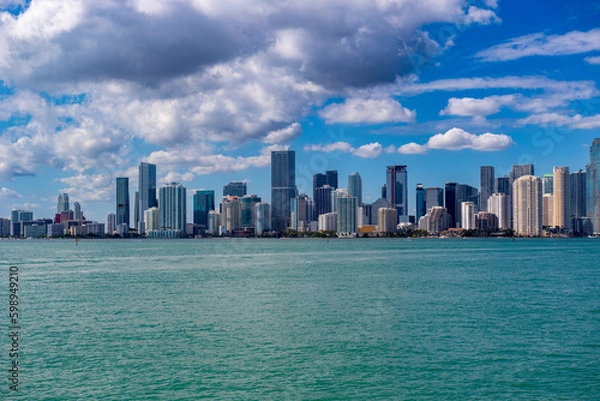 Obraz beach with palm trees