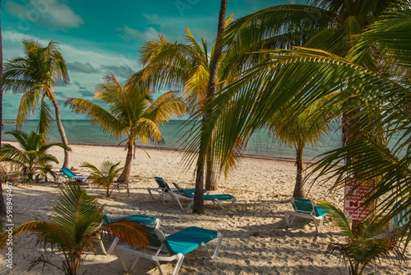Obraz beach with palm trees