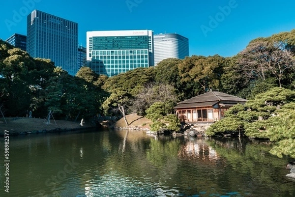 Obraz New and Old Tokyo