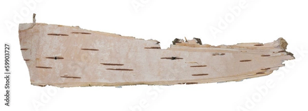 Fototapeta Bark slice