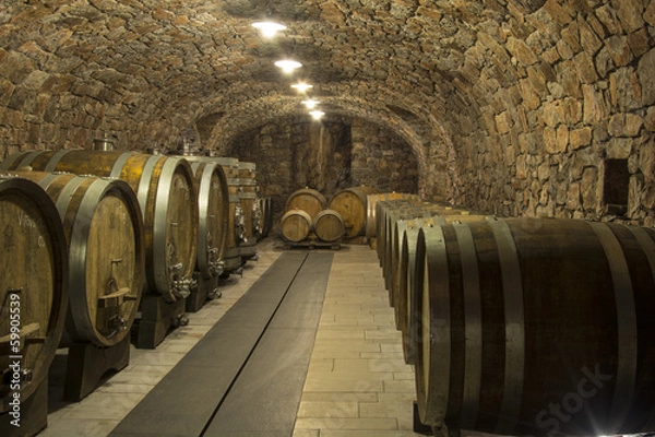 Obraz Wine cellar