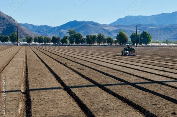 Obraz Tractor in furrowed farm field Oxnard California 