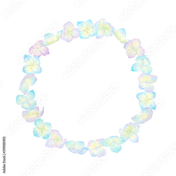 Fototapeta カラフルな紫陽花の花で作ったフラワーリース。水彩絵の具で描いた背景透過のイラスト。