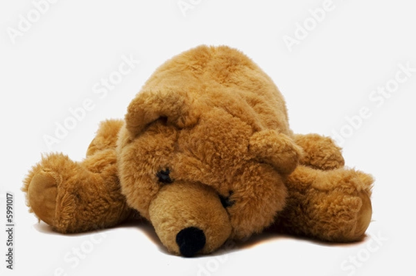 Fototapeta Brown Bear Four