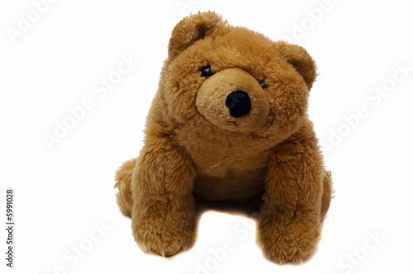 Fototapeta Brown Bear Three