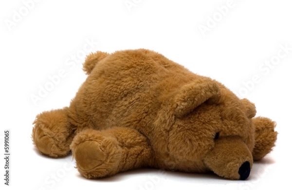 Fototapeta Brown Bear One