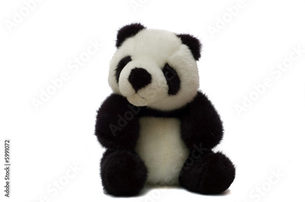 Fototapeta Panda Bear Two