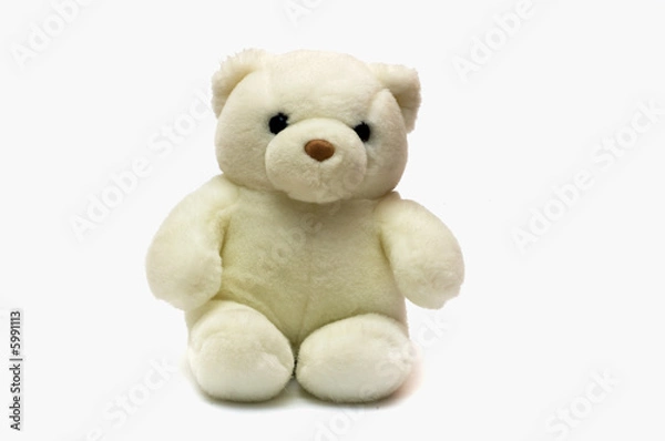 Fototapeta White Bear