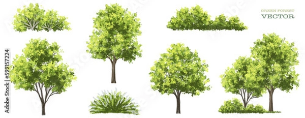 Fototapeta Vector watercolor green tree or forest side view isolated on white background for landscape and architecture drawing,elements for environment or garden,botanical element for exterior section in spring