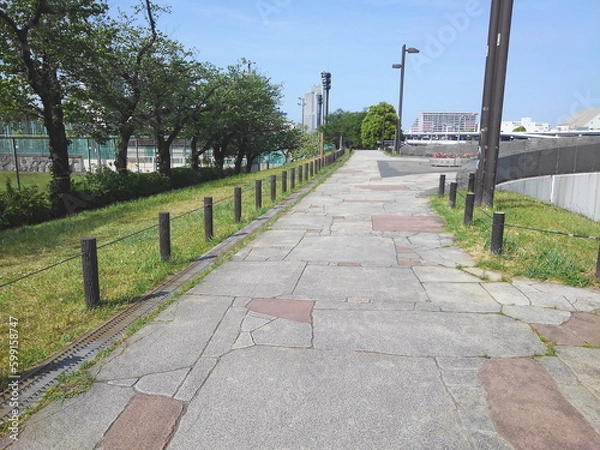 Obraz 青空の下舗装されたジョギングコースは走りやすい